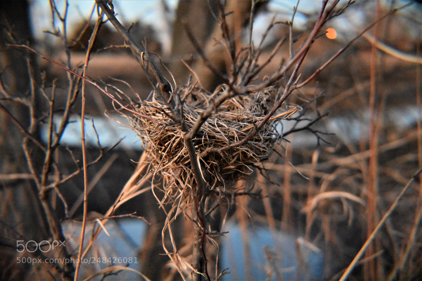 Nikon D3400 sample photo. () photography