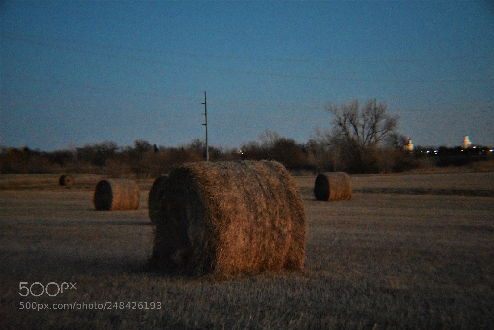 Nikon D3400 sample photo. () photography