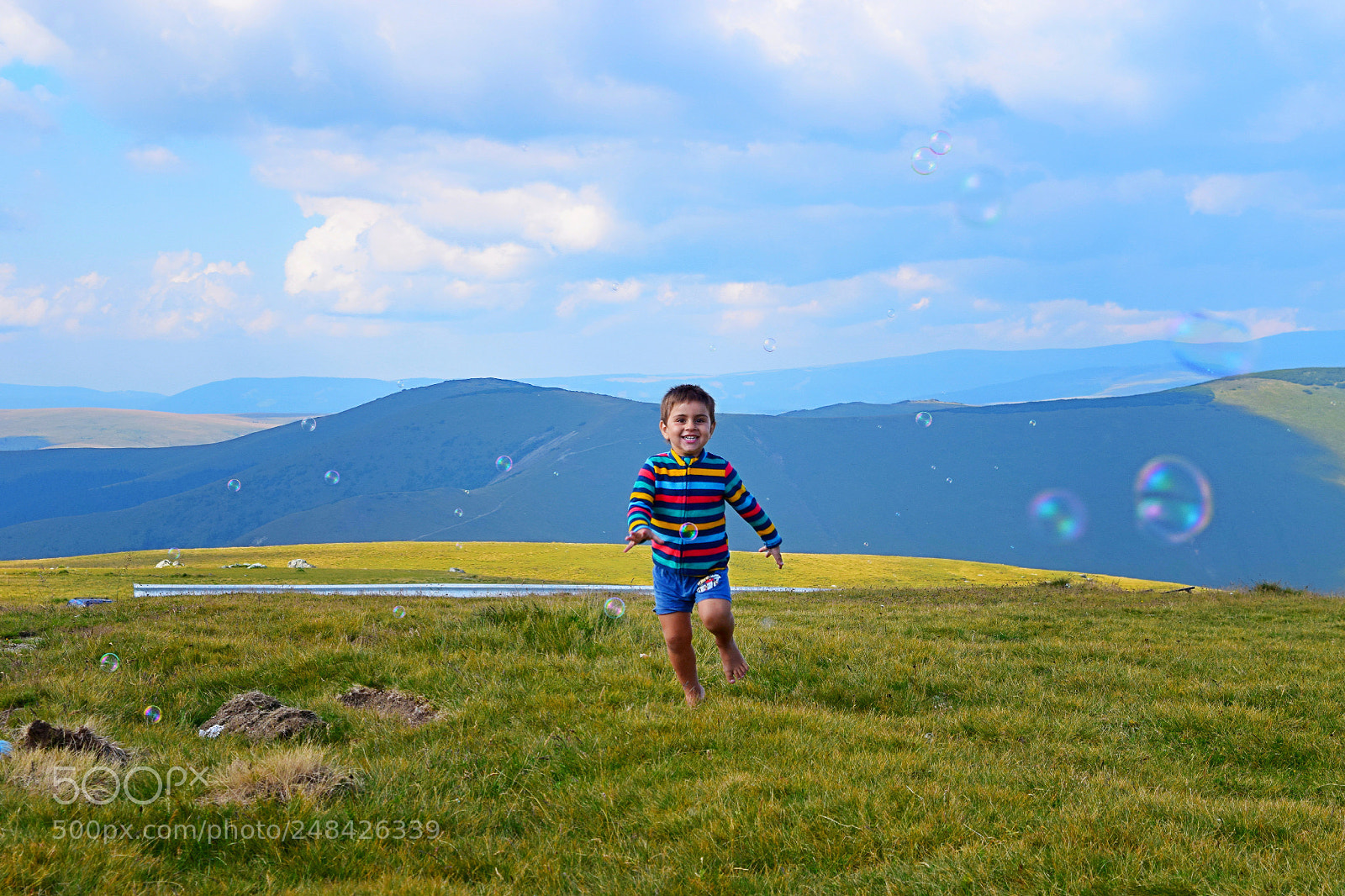 Nikon D5300 sample photo. David photography