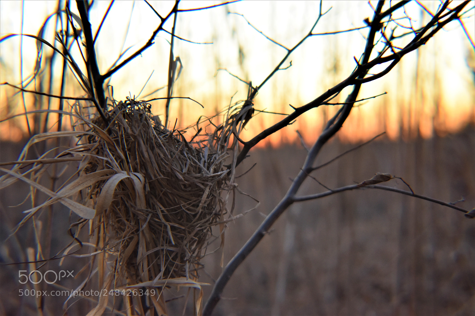Nikon D3400 sample photo. () photography