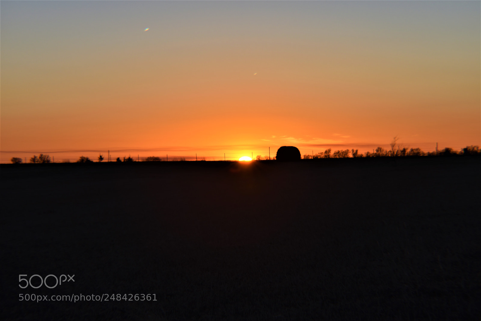 Nikon D3400 sample photo. () photography