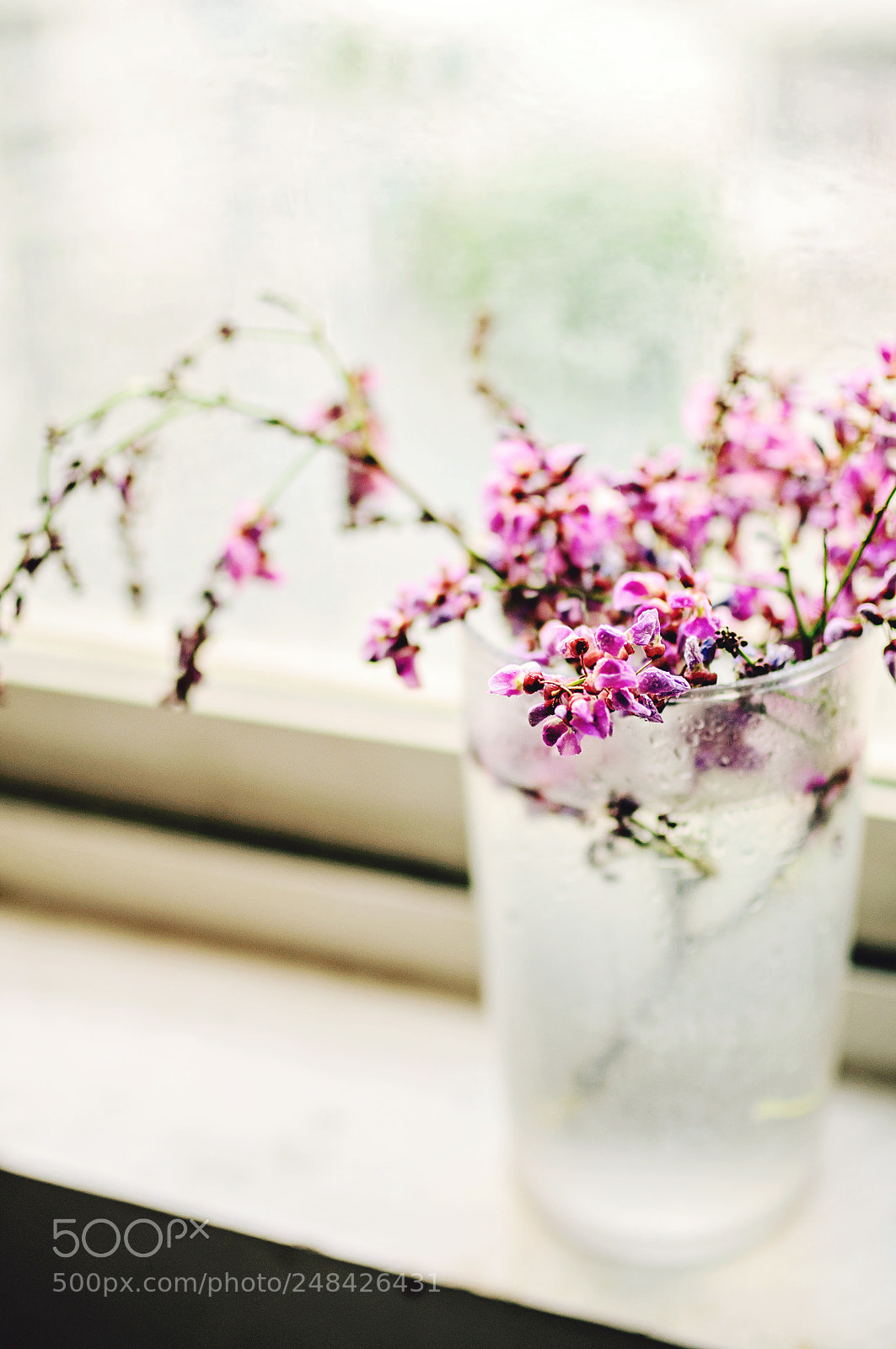 Nikon D90 sample photo. Spring flowers photography