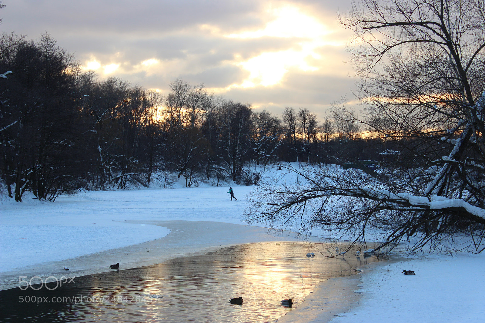 Canon EOS 600D (Rebel EOS T3i / EOS Kiss X5) sample photo. *** photography