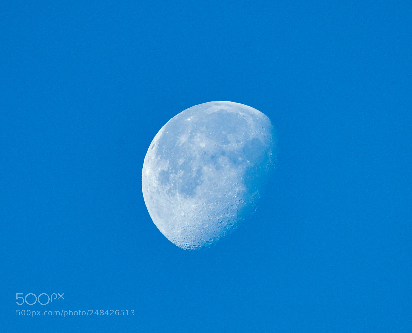 Canon EOS-1D X Mark II sample photo. 03-06-18-0006408.jpg photography