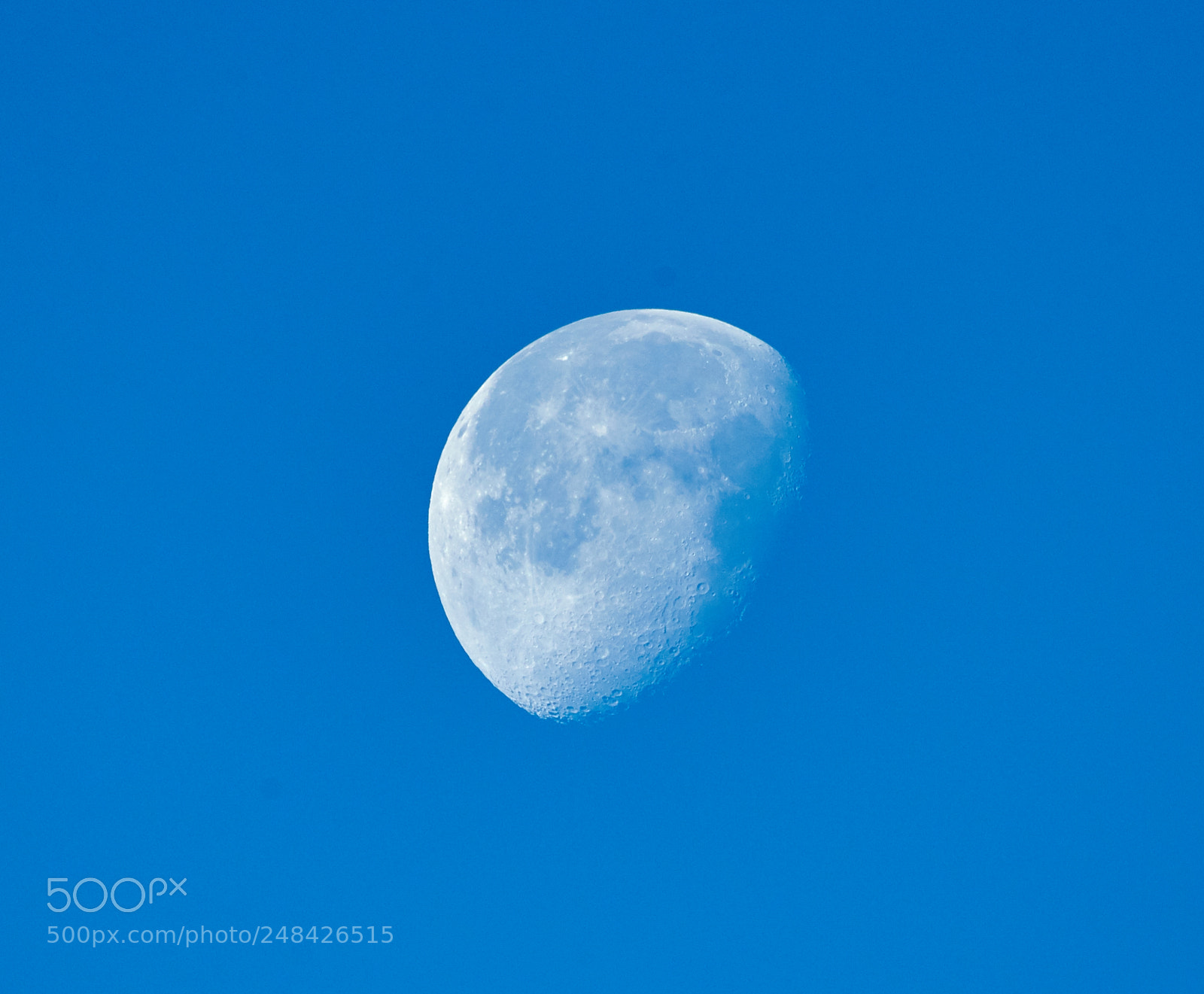 Canon EOS-1D X Mark II sample photo. 03-06-18-0006409.jpg photography