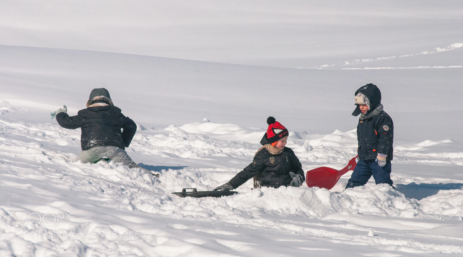 Nikon D60 sample photo. Winter fun photography
