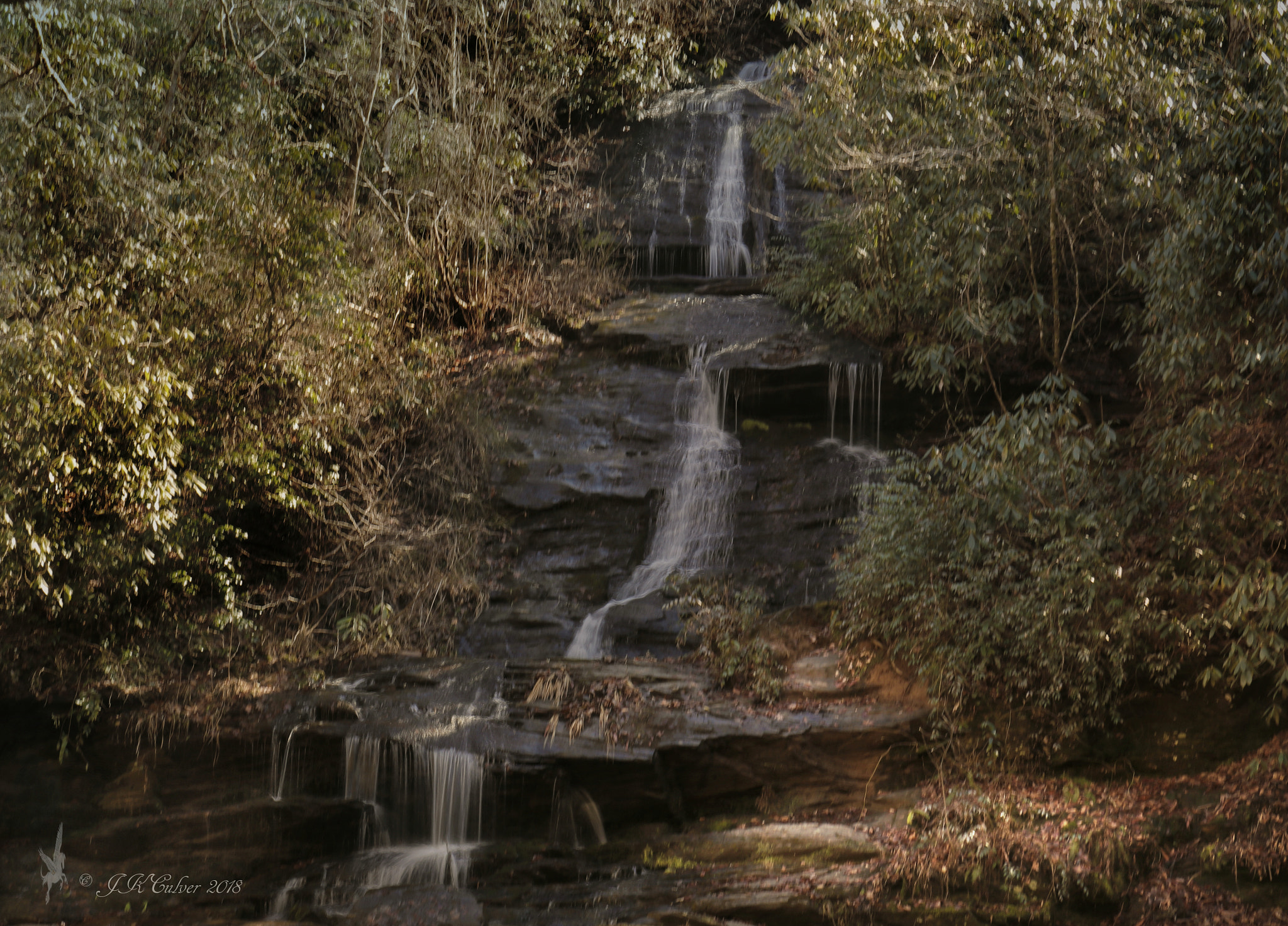 Canon EOS 77D (EOS 9000D / EOS 770D) sample photo. Tom branch falls photography