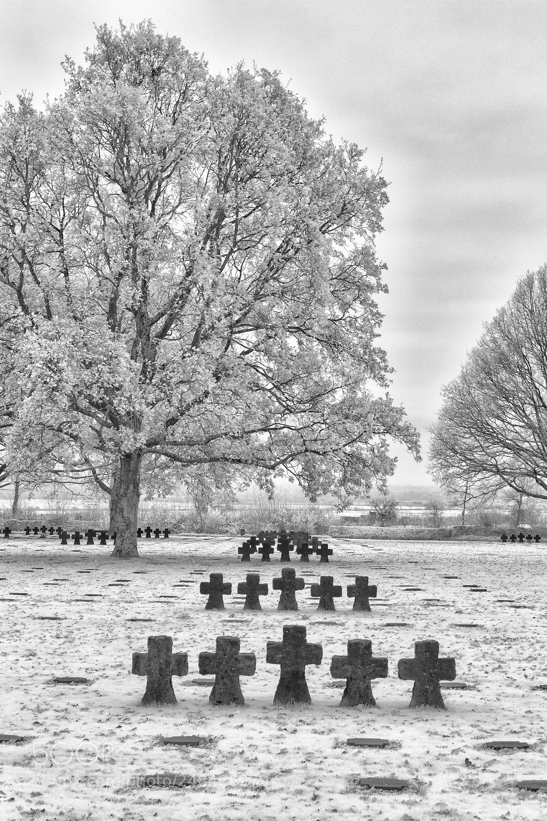 Canon EOS 600D (Rebel EOS T3i / EOS Kiss X5) sample photo. La cambe german war photography