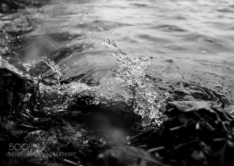 Canon EOS 700D (EOS Rebel T5i / EOS Kiss X7i) sample photo. Little wave photography