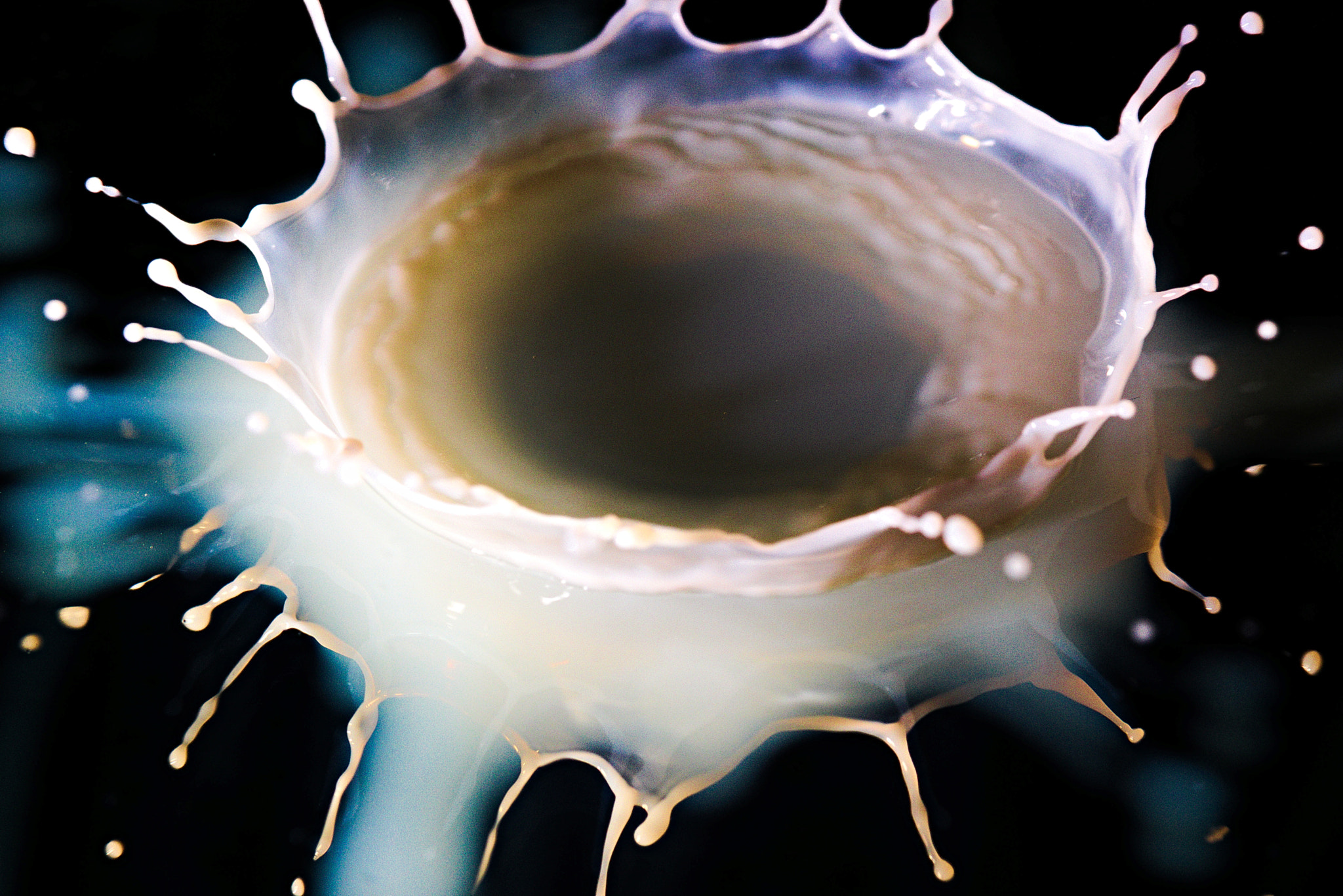 Canon EF 100mm F2.8 Macro USM sample photo. Milk drop photography