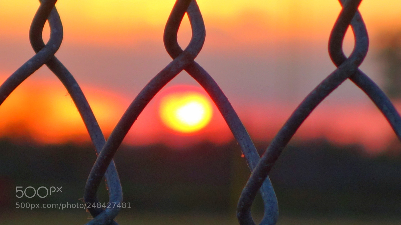 Sony Cyber-shot DSC-RX100 II sample photo. Chained photography
