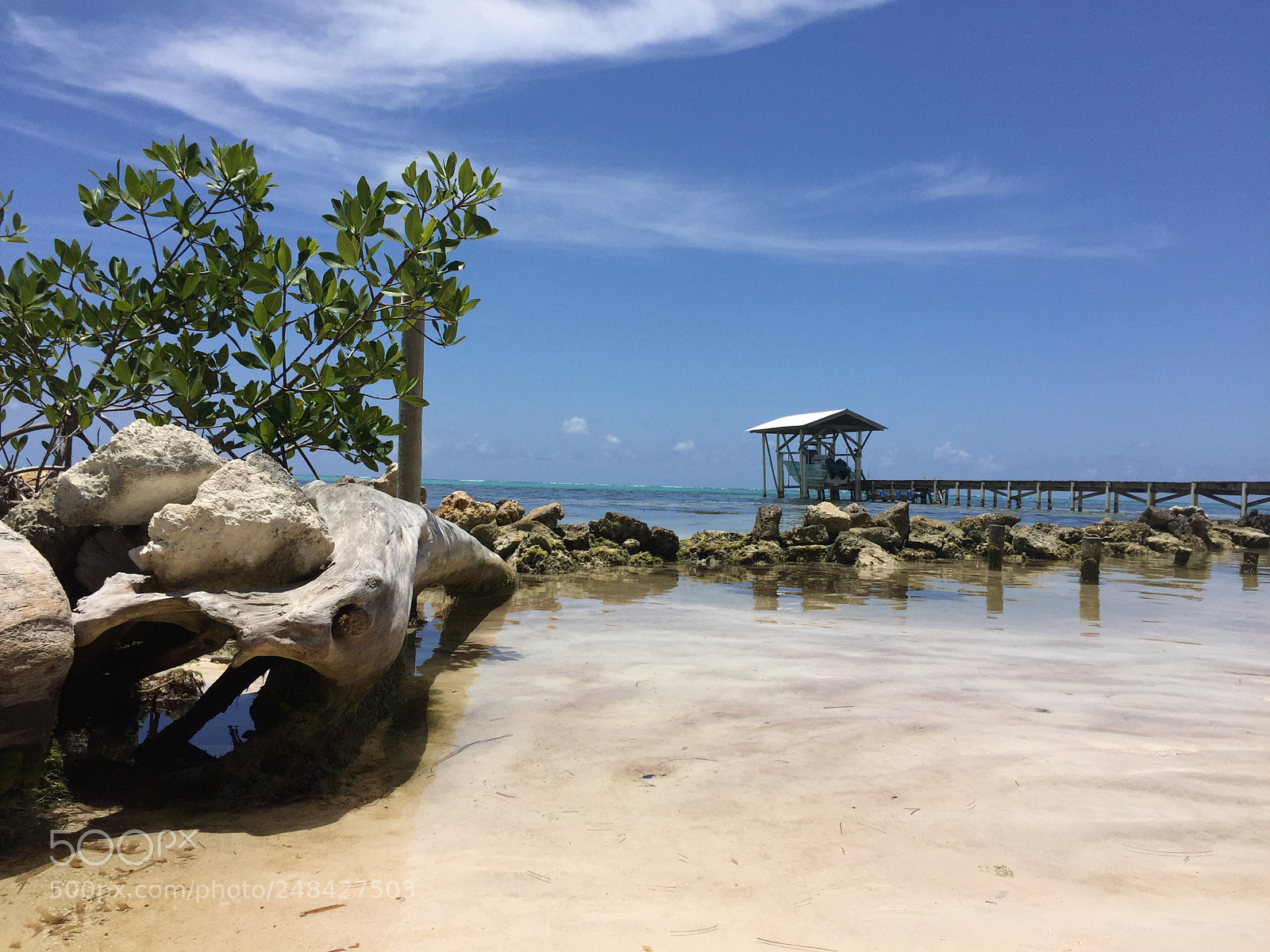 Apple iPhone 6 sample photo. Ambergris caye photography
