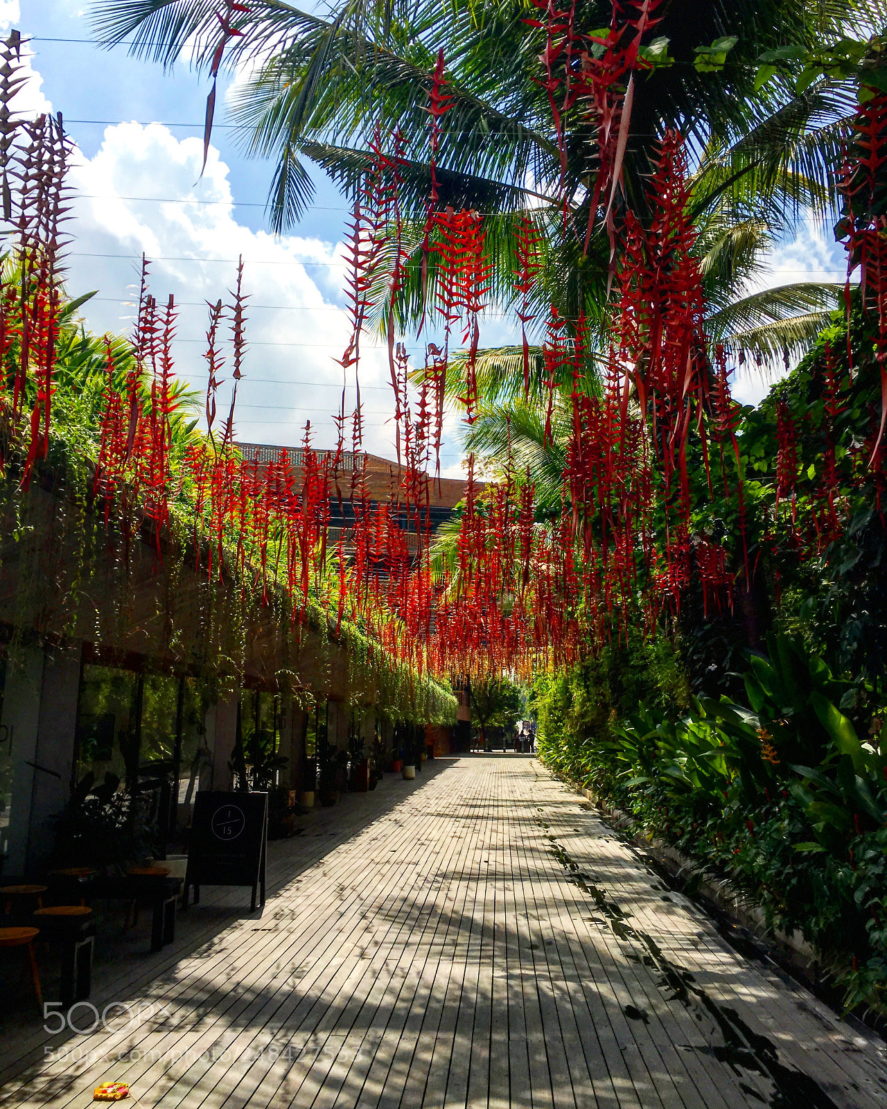 Apple iPhone 6s sample photo. Bali photography