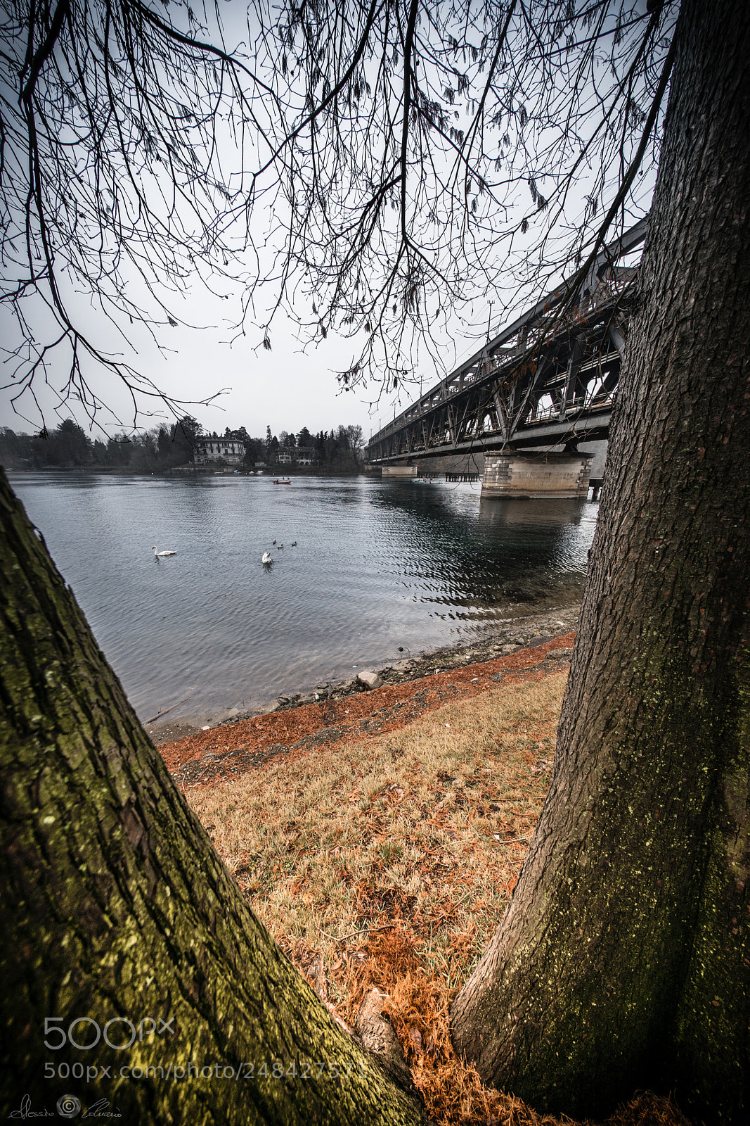 Sony a7 sample photo. Natural window photography