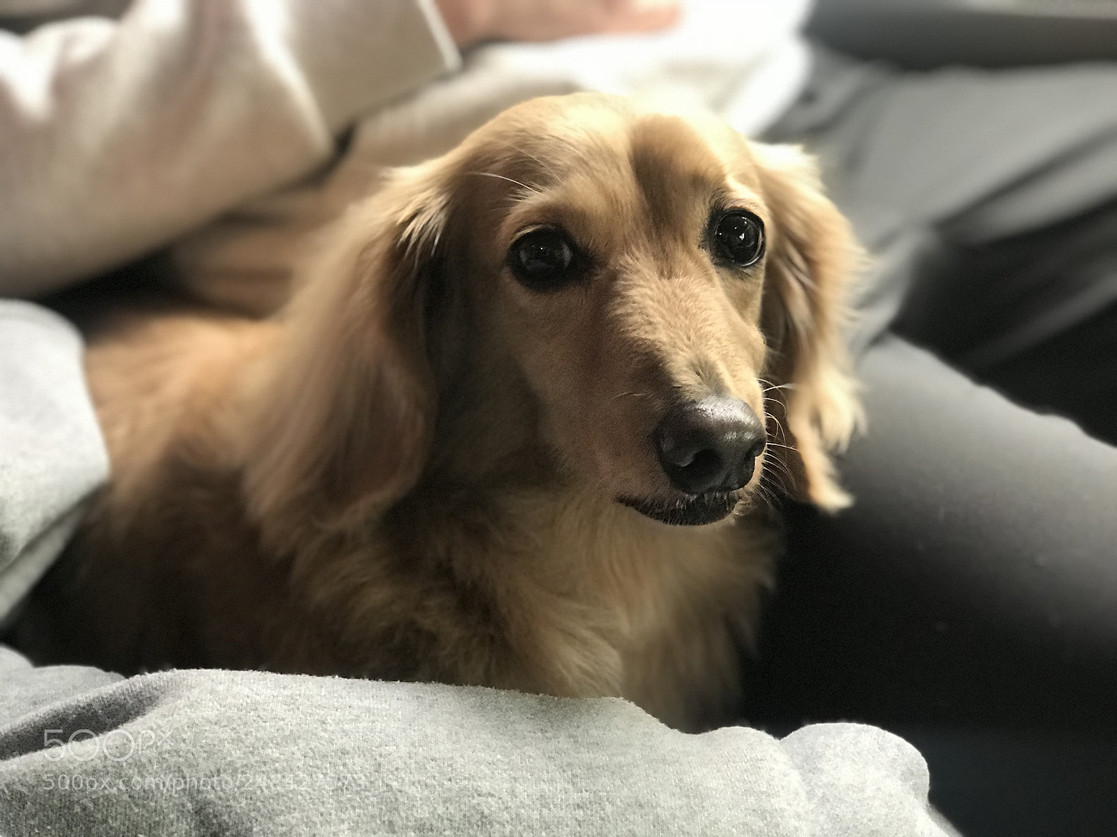 Apple iPhone 7 Plus sample photo. Family photography