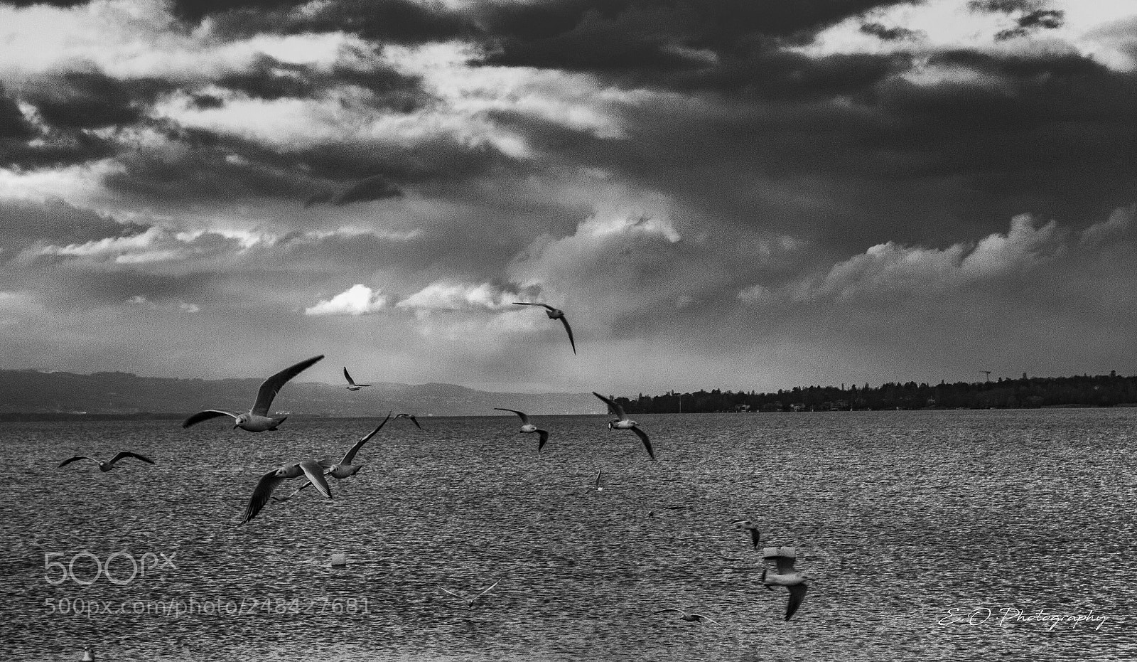 Canon EOS 7D sample photo. Hitchcockbird photography