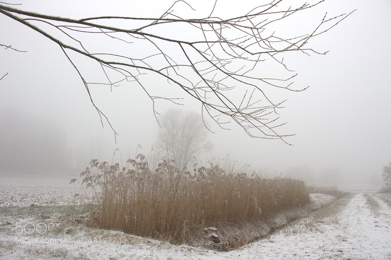 Canon EOS 700D (EOS Rebel T5i / EOS Kiss X7i) sample photo. Wintereinbruch photography