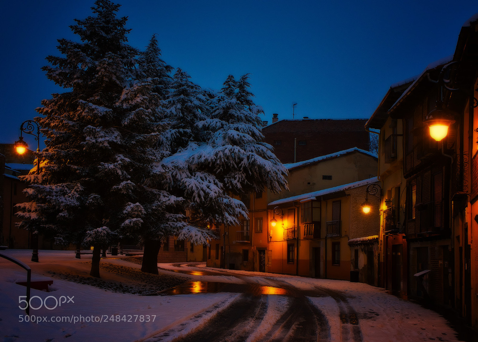 Sony a7 II sample photo. León de cuento photography