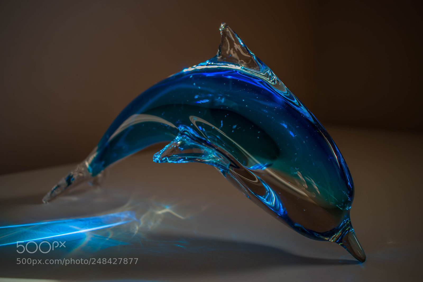 Nikon D5300 sample photo. Glass dolphin photography