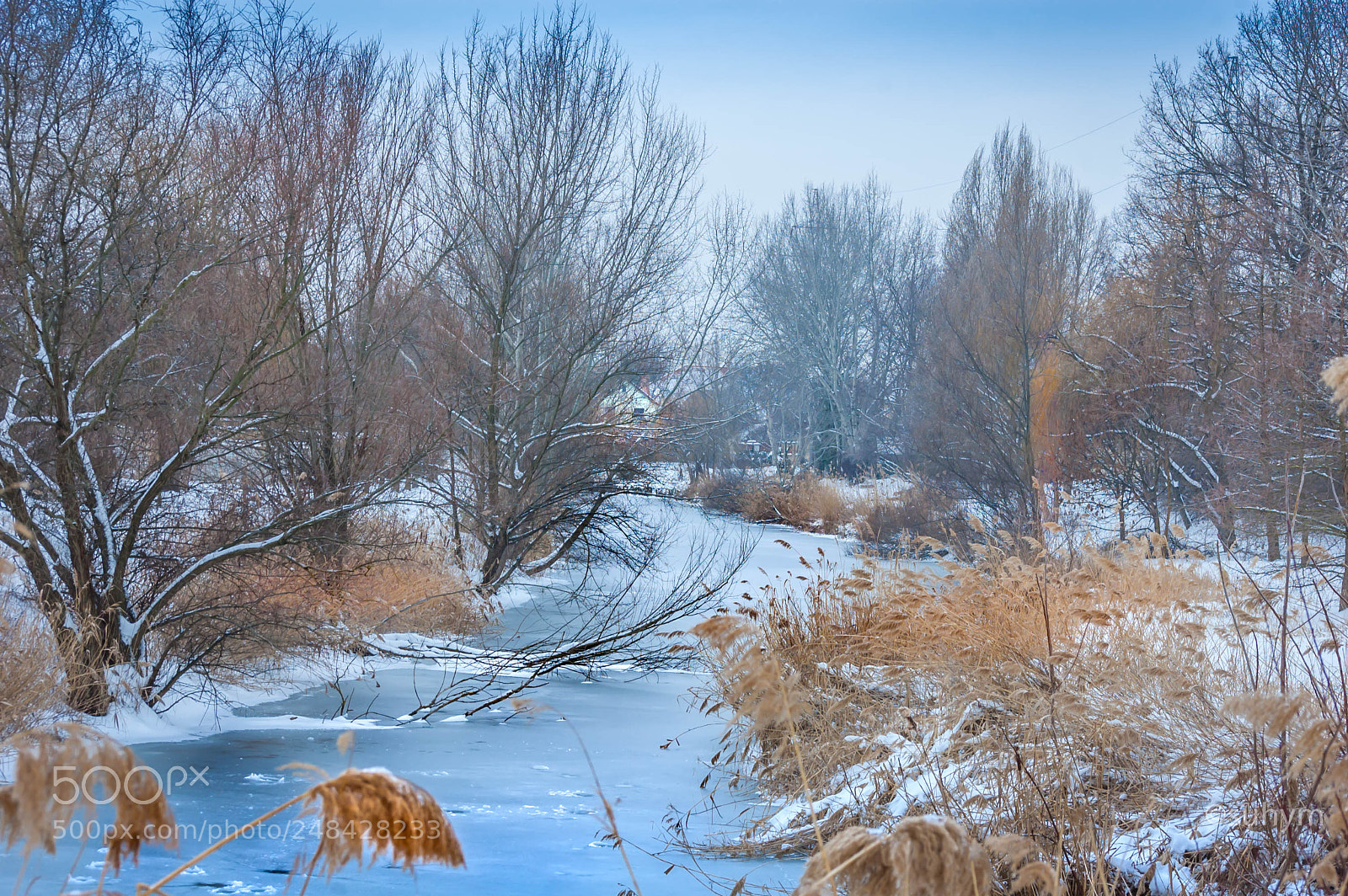 Nikon D40 sample photo. Winter photography