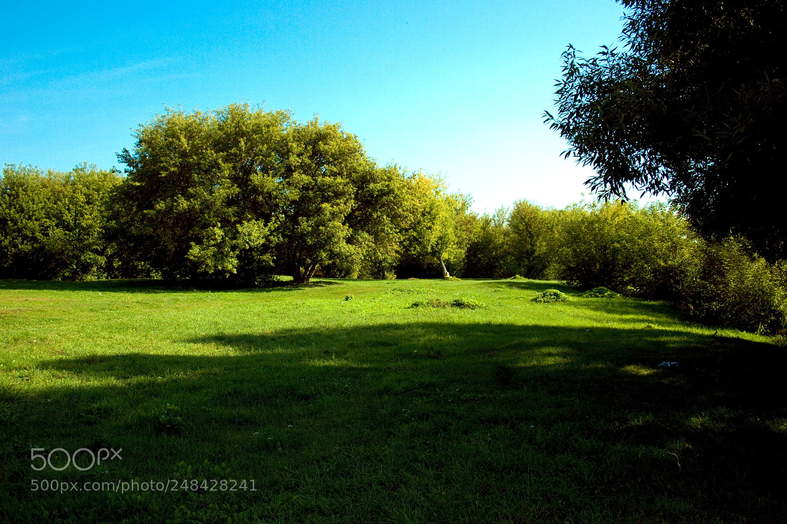 Canon EOS 20D sample photo. Polyanka photography