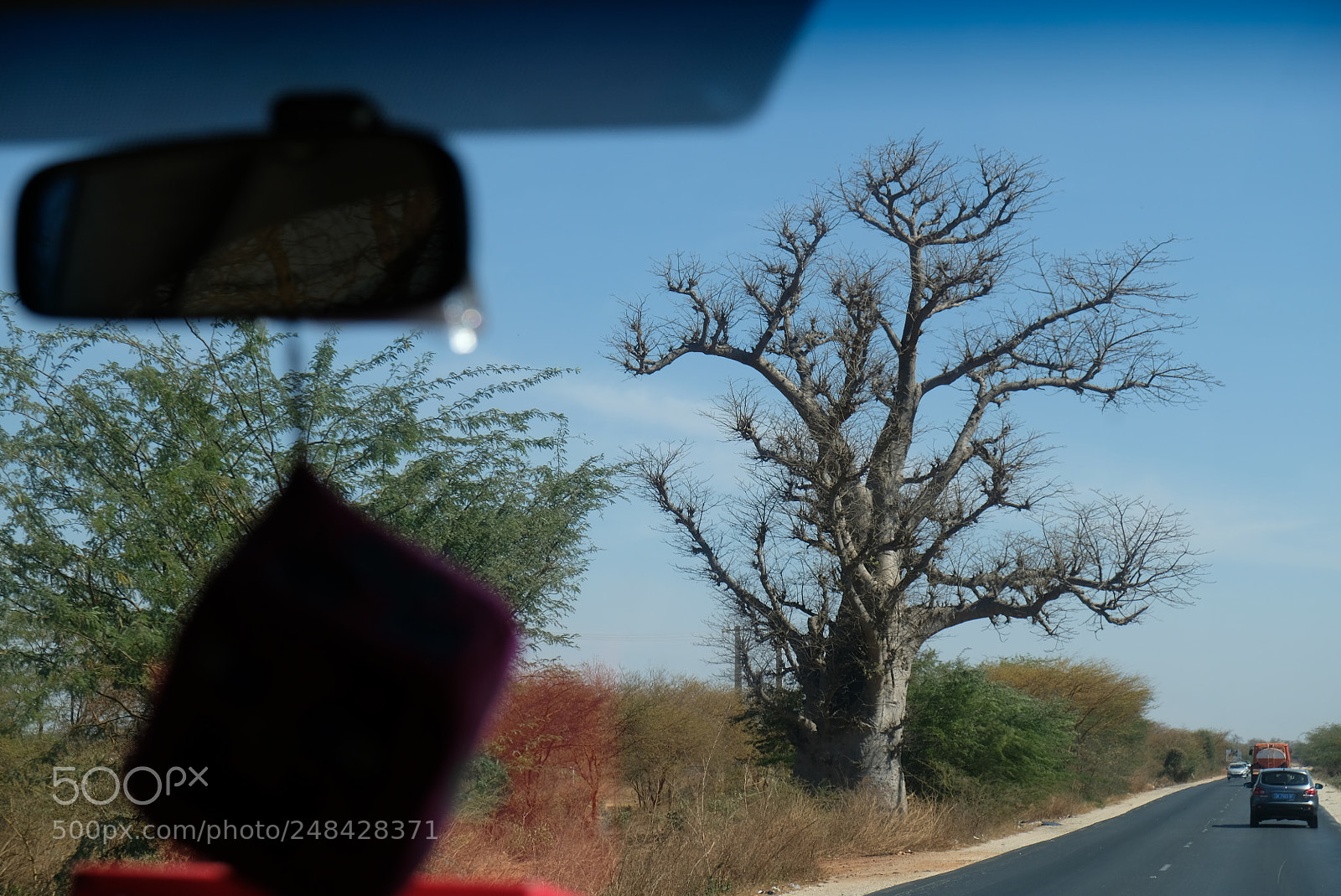 Fujifilm X-T20 sample photo. Baobab photography