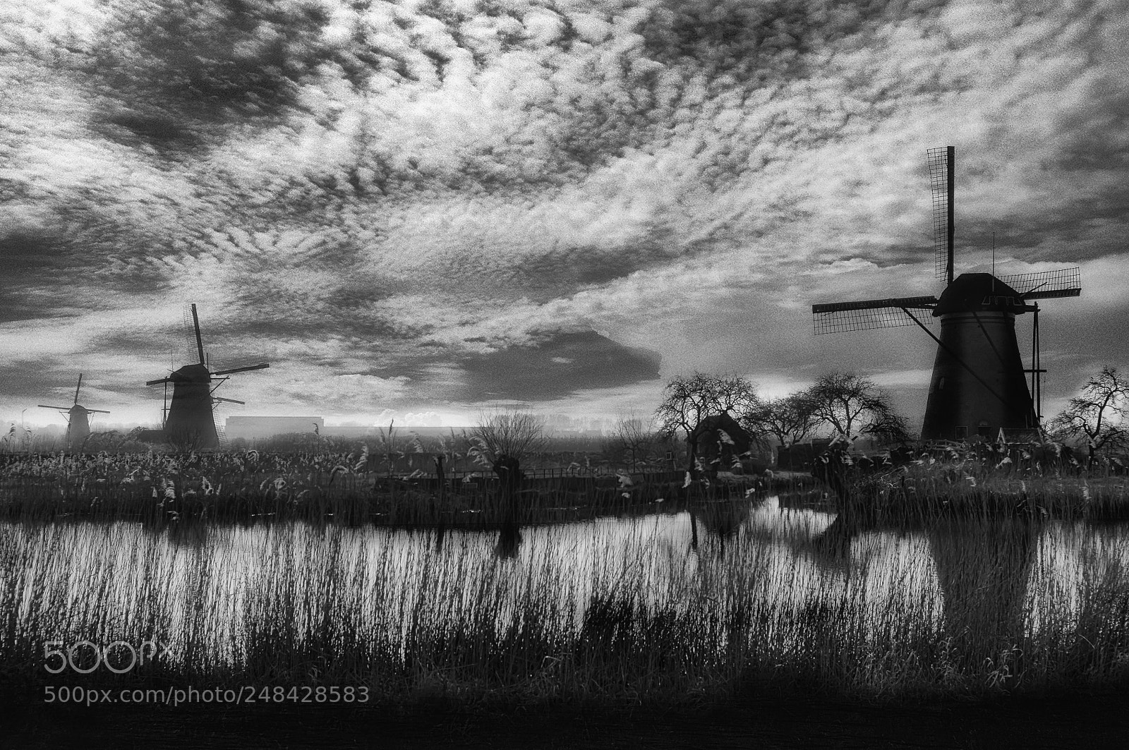 Nikon D90 sample photo. Kinderdijk photography