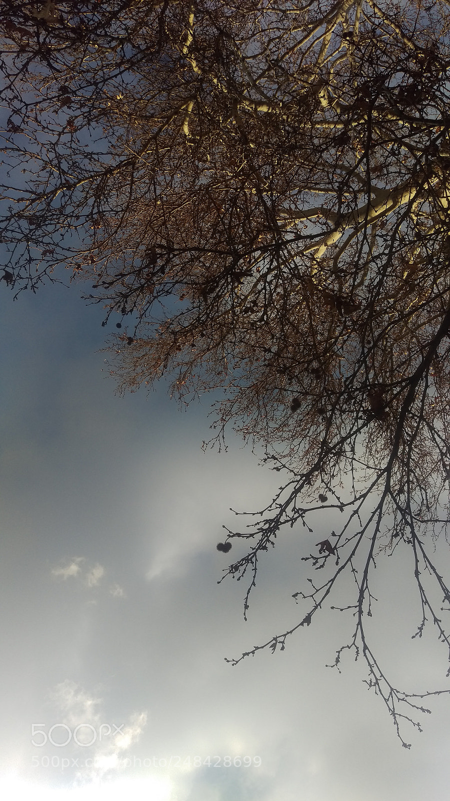 HTC ONE M9 sample photo. Rays of light photography