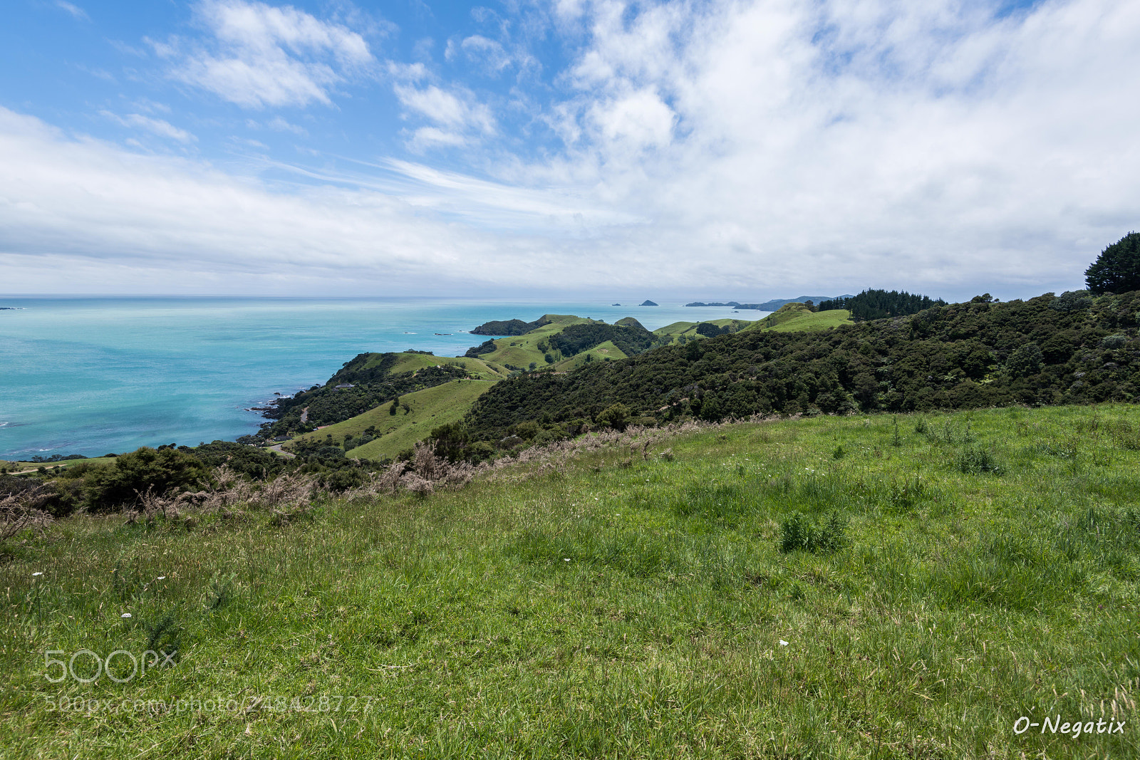 Nikon D850 sample photo. Far north coast photography