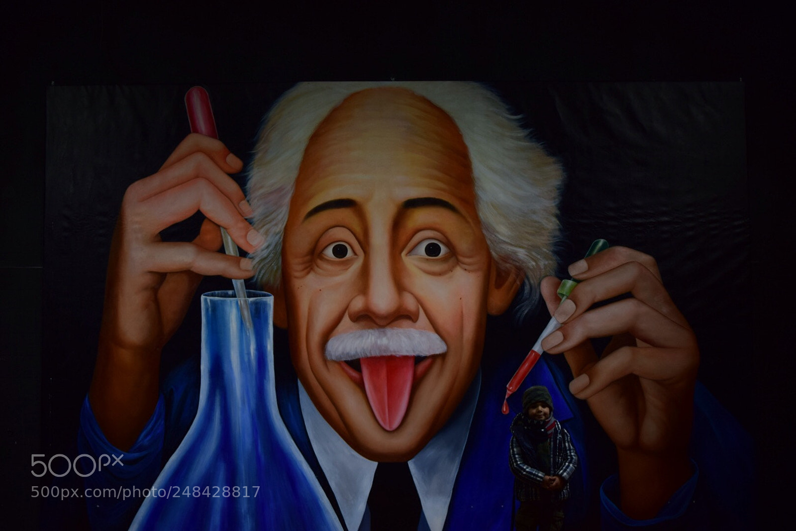 Nikon D5300 sample photo. Einstein murales photography