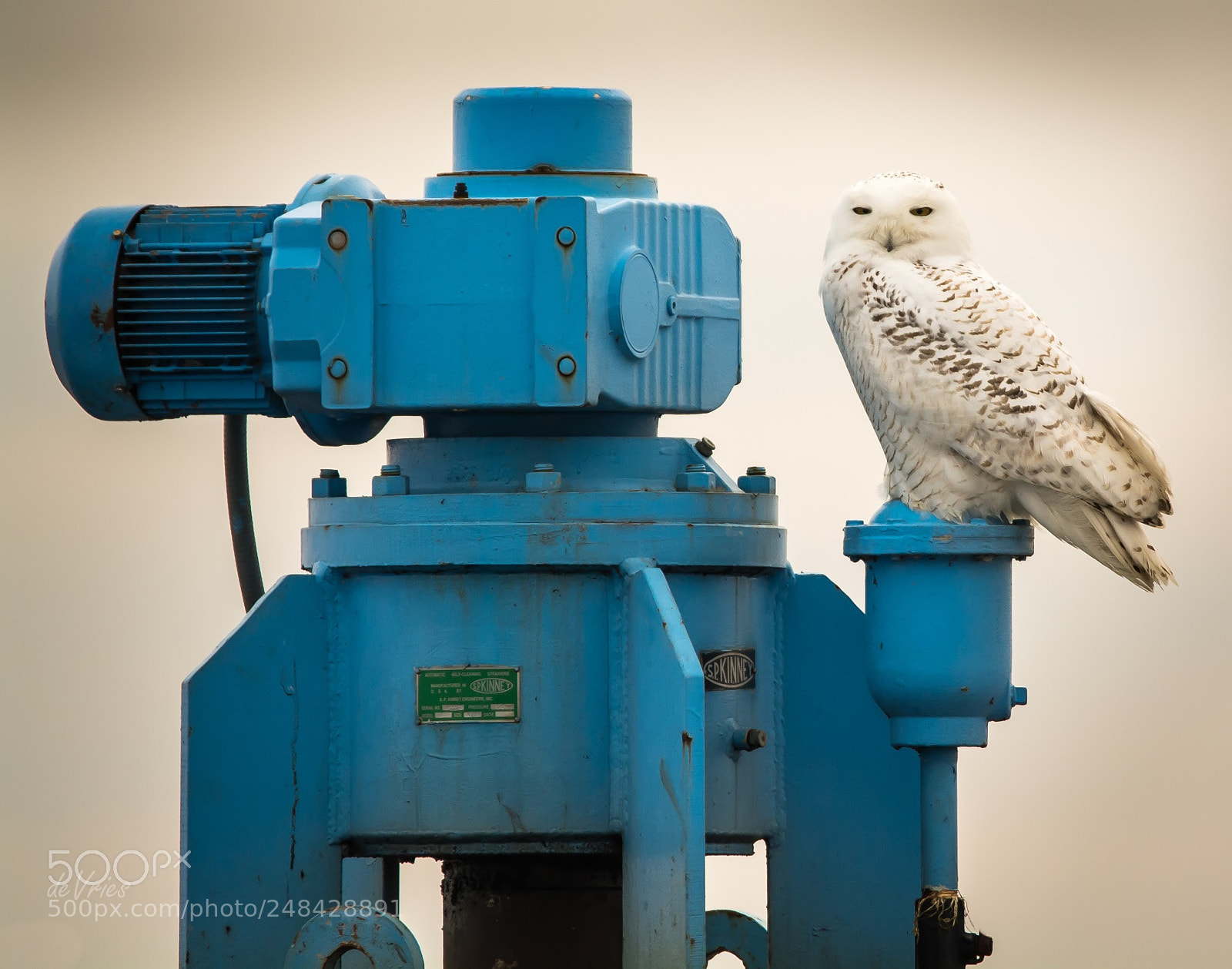 Nikon D7100 sample photo. Industrial strength . . . photography