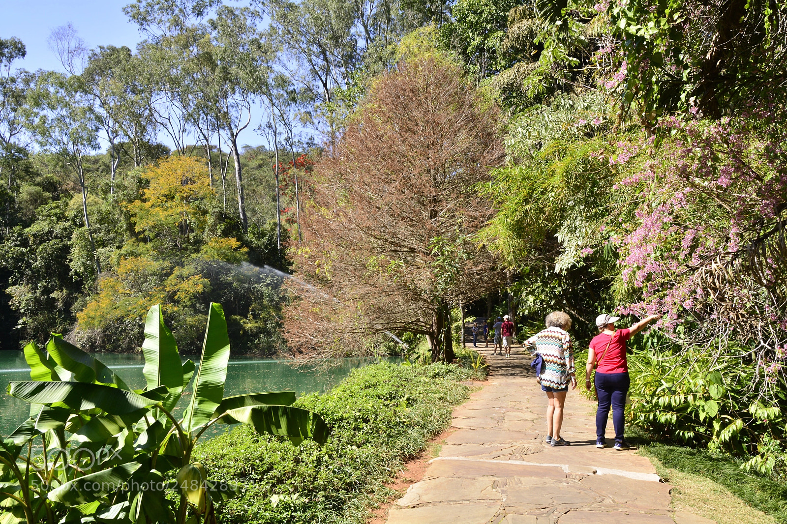 Nikon D5200 sample photo. Um dos caminhos de photography