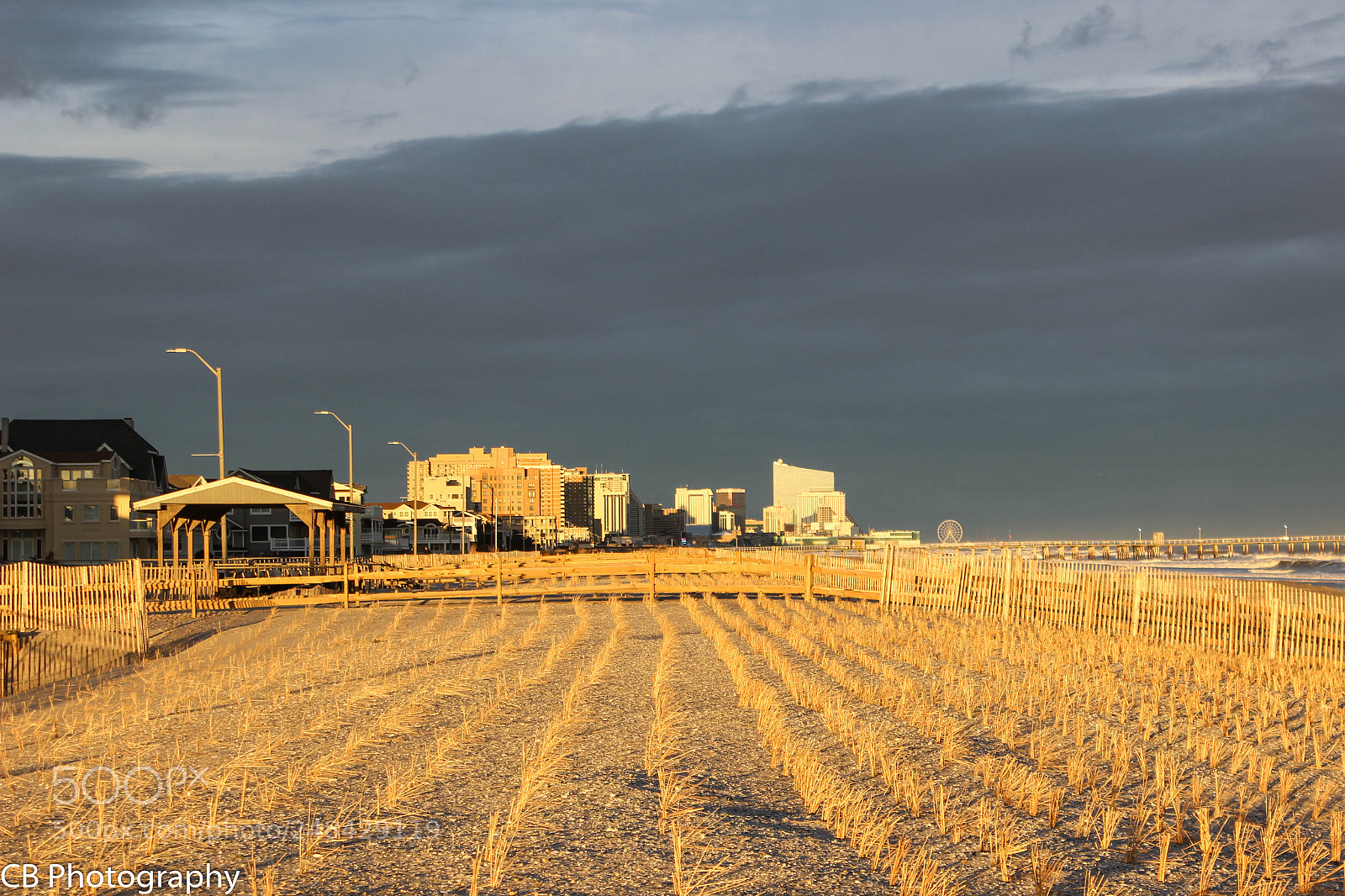Canon EOS 600D (Rebel EOS T3i / EOS Kiss X5) sample photo. Golden dunes photography