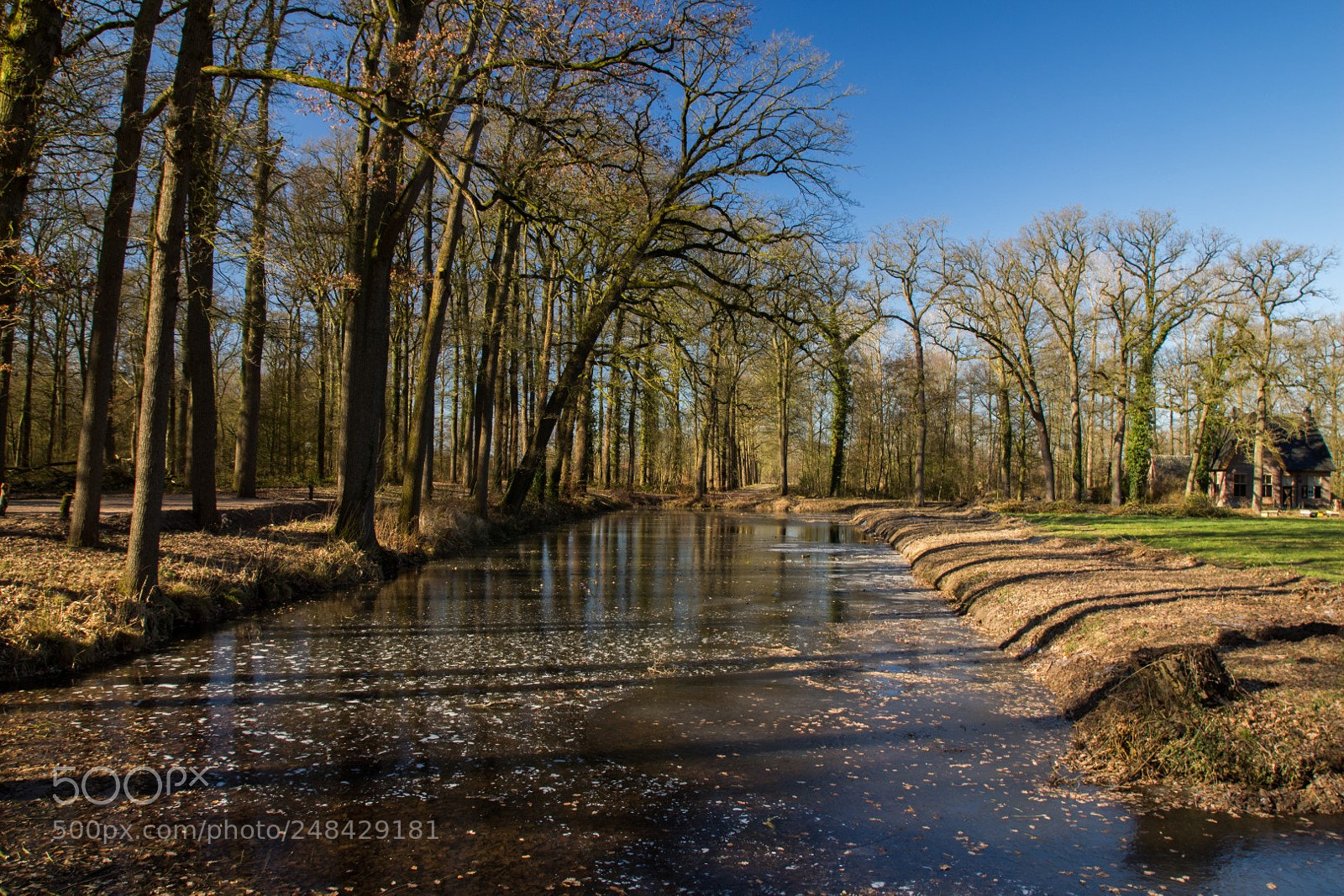 Canon EOS 700D (EOS Rebel T5i / EOS Kiss X7i) sample photo. Heeswijk dinther photography