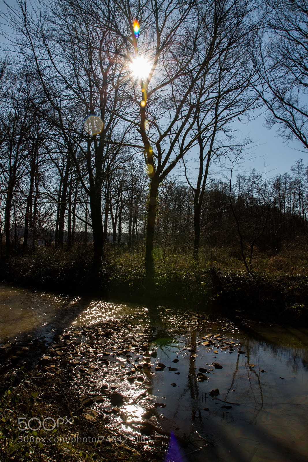 Canon EOS 700D (EOS Rebel T5i / EOS Kiss X7i) sample photo. Heeswijk dinther photography