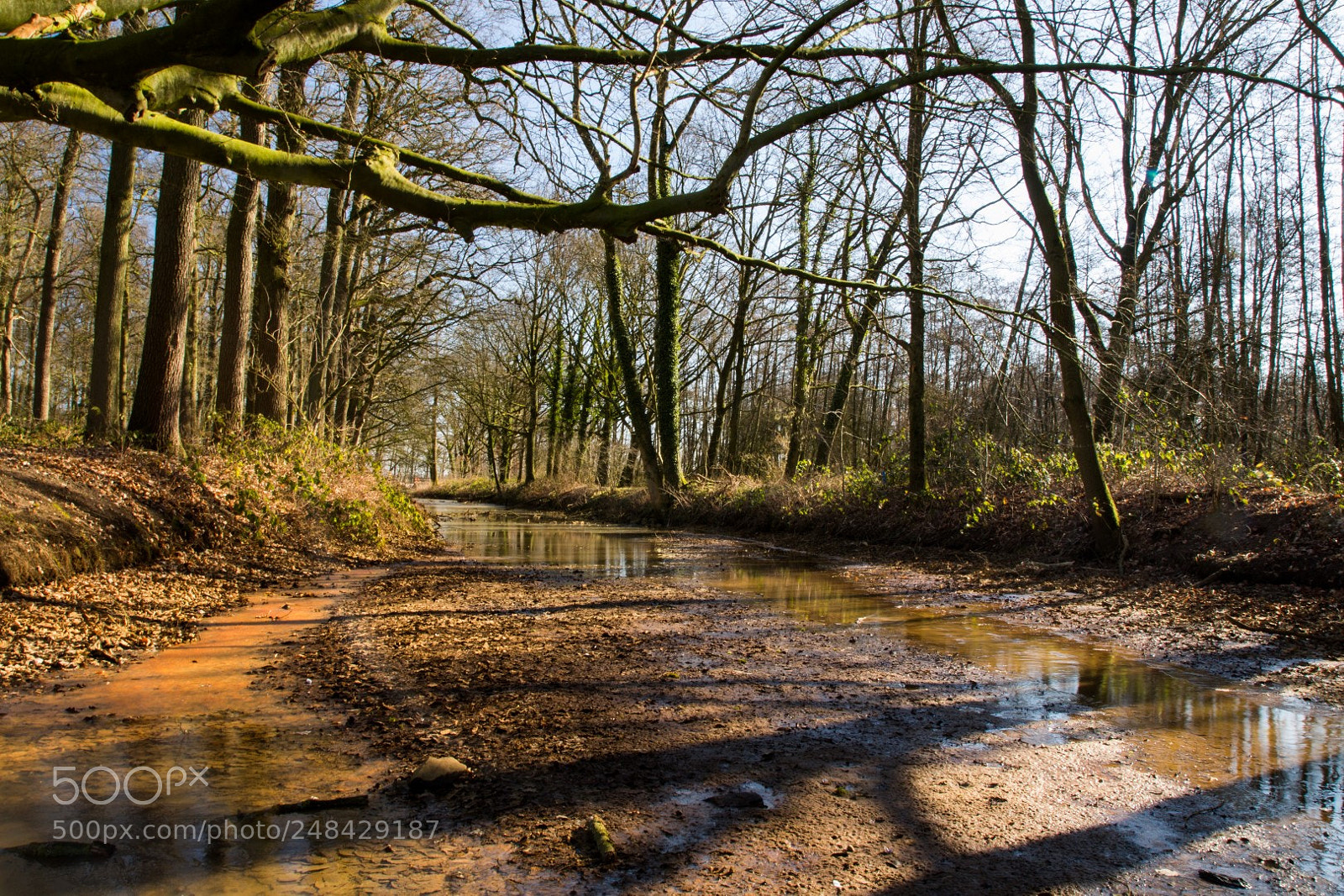 Canon EOS 700D (EOS Rebel T5i / EOS Kiss X7i) sample photo. Heeswijk dinther photography