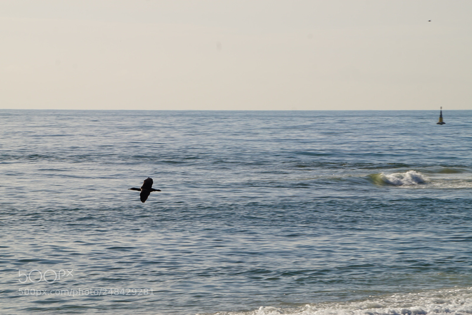 Sony Alpha a5000 (ILCE 5000) sample photo. Untitled photography