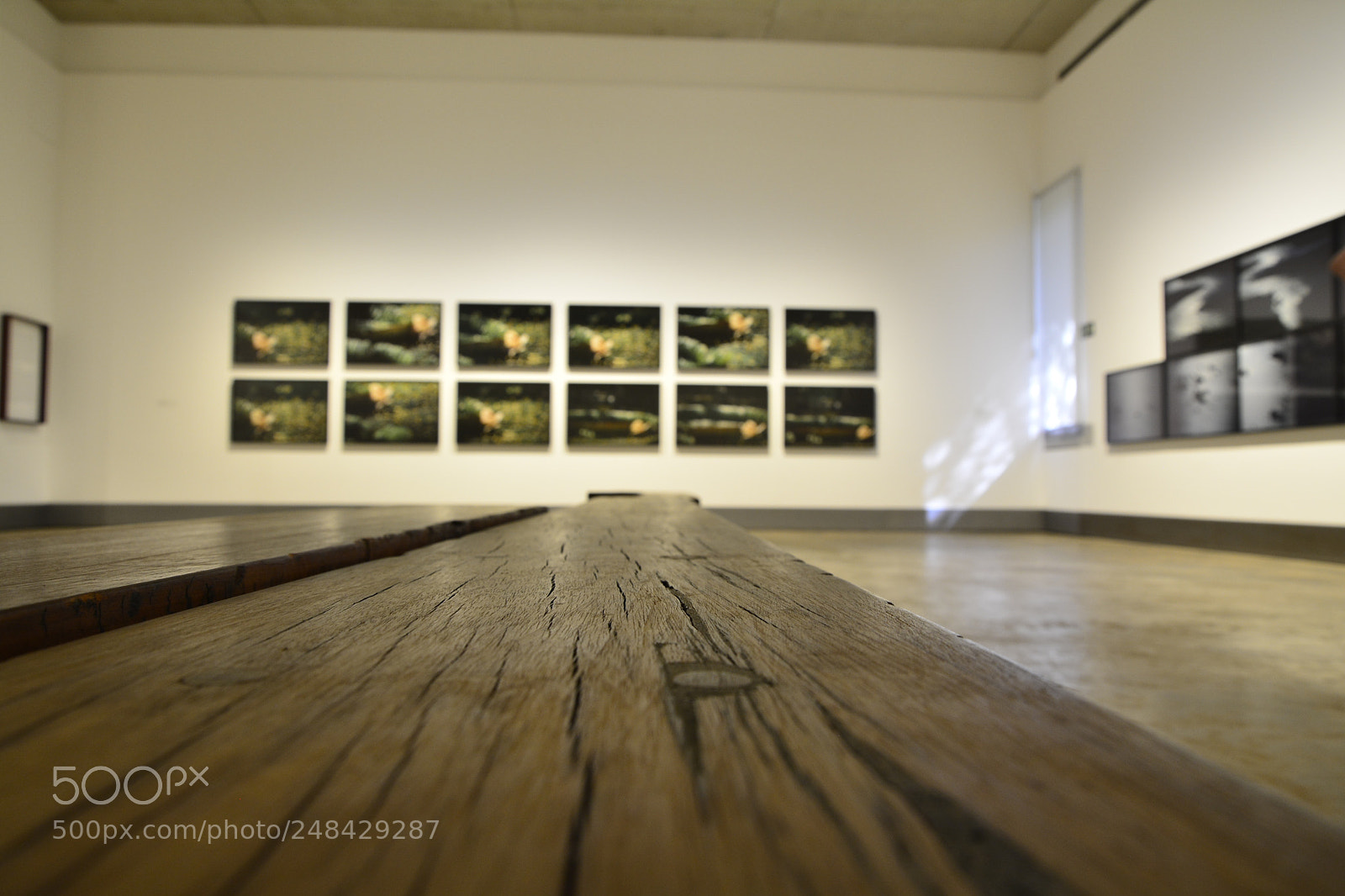Nikon D5200 sample photo. Banco da galeria claudia photography