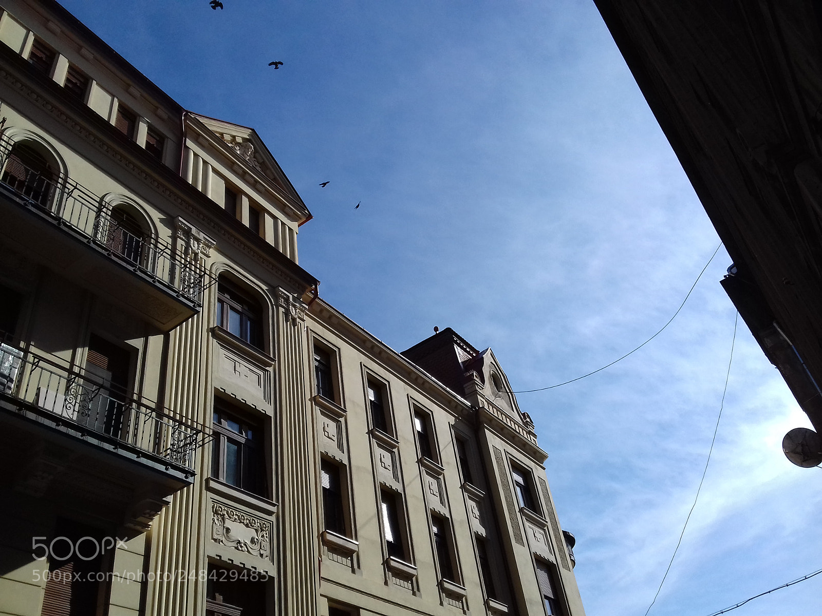 Samsung Galaxy J3(2016) sample photo. Timisoara foerk petrov cz photography
