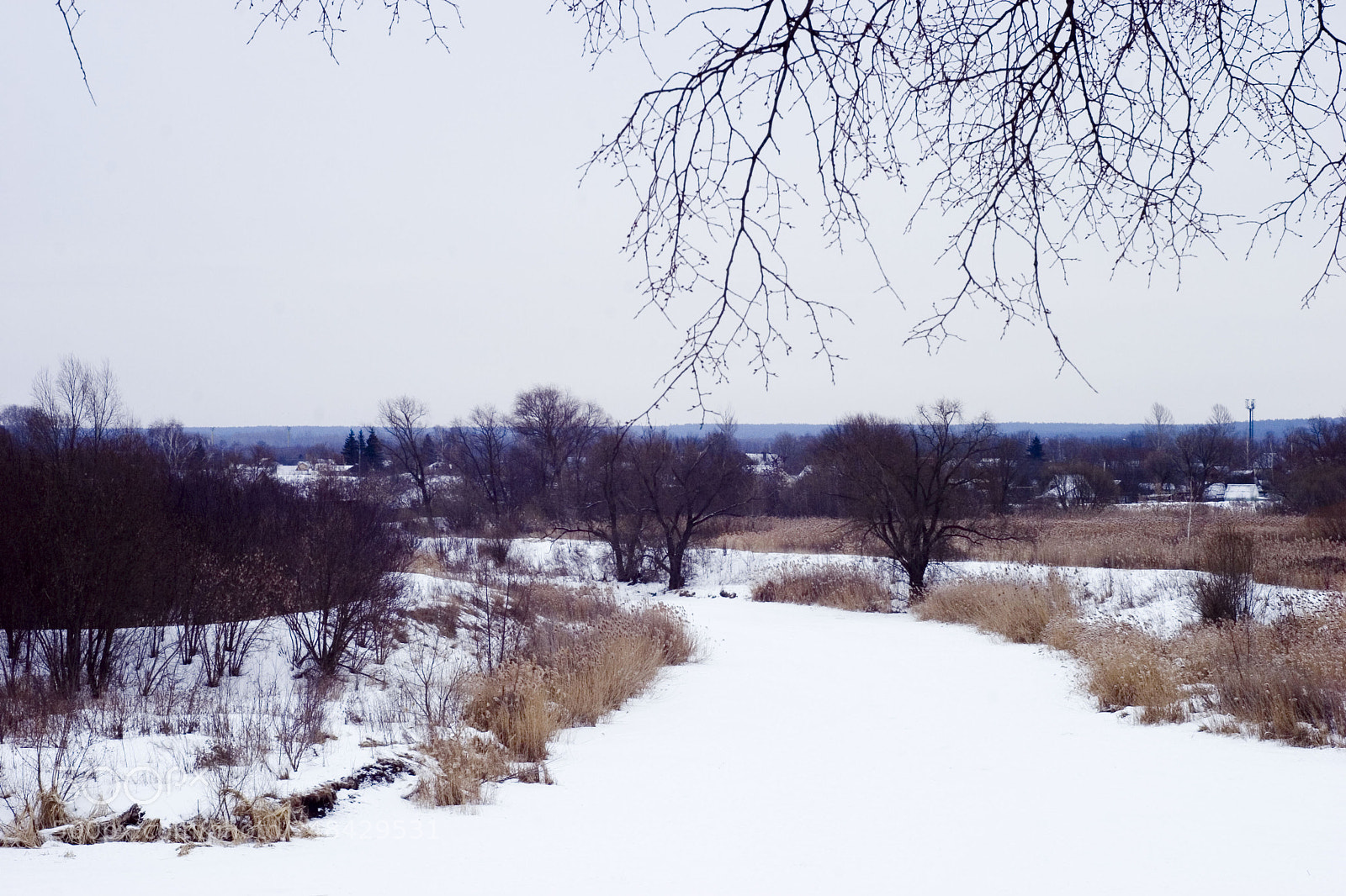Canon EOS 20D sample photo. Snowy landscape in the photography