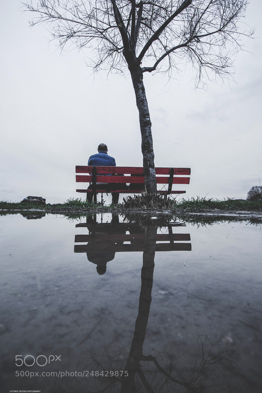 Nikon D7200 sample photo. Reflection photography