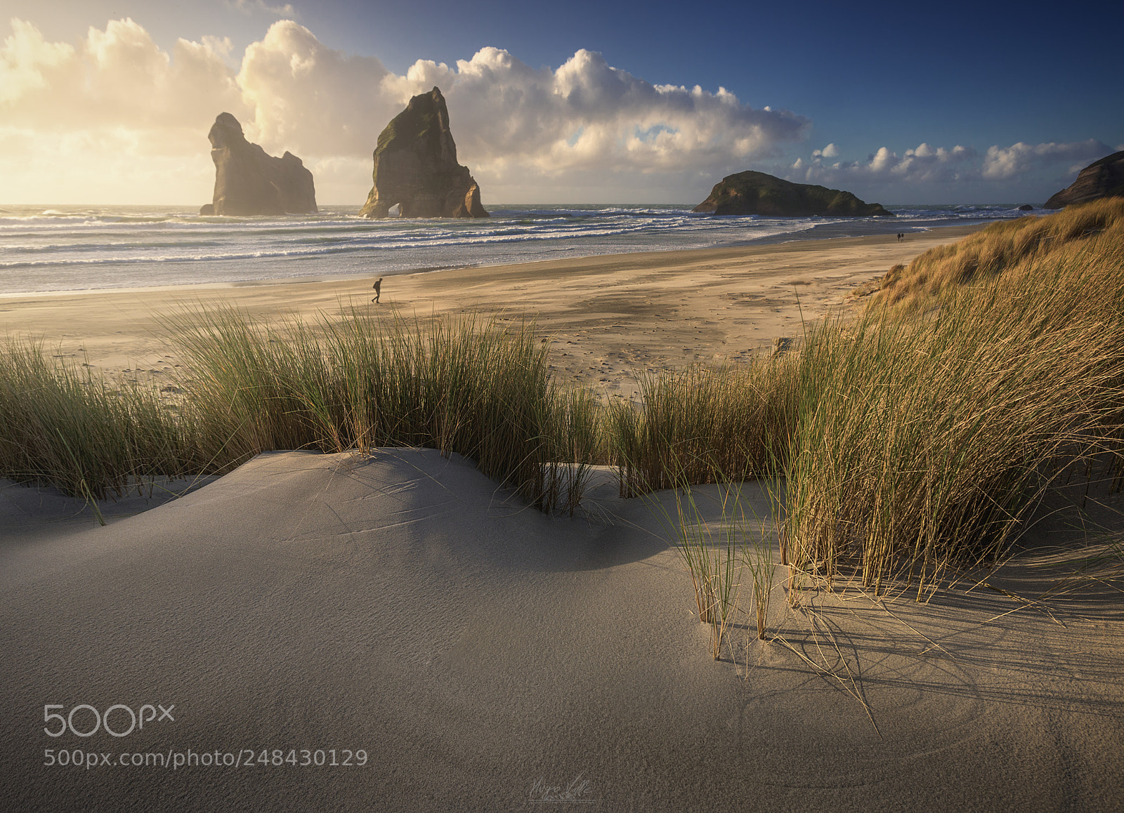Nikon D810 sample photo. Paradise beach photography