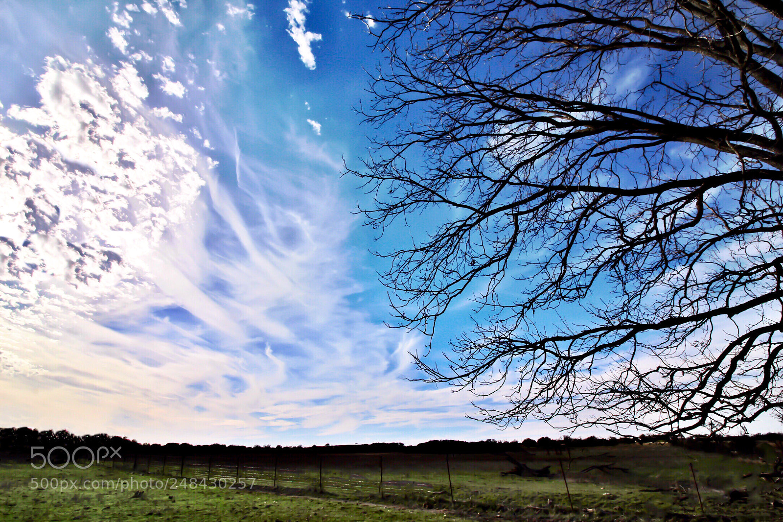 Canon EOS 100D (EOS Rebel SL1 / EOS Kiss X7) sample photo. Frenzied blue sky  photography
