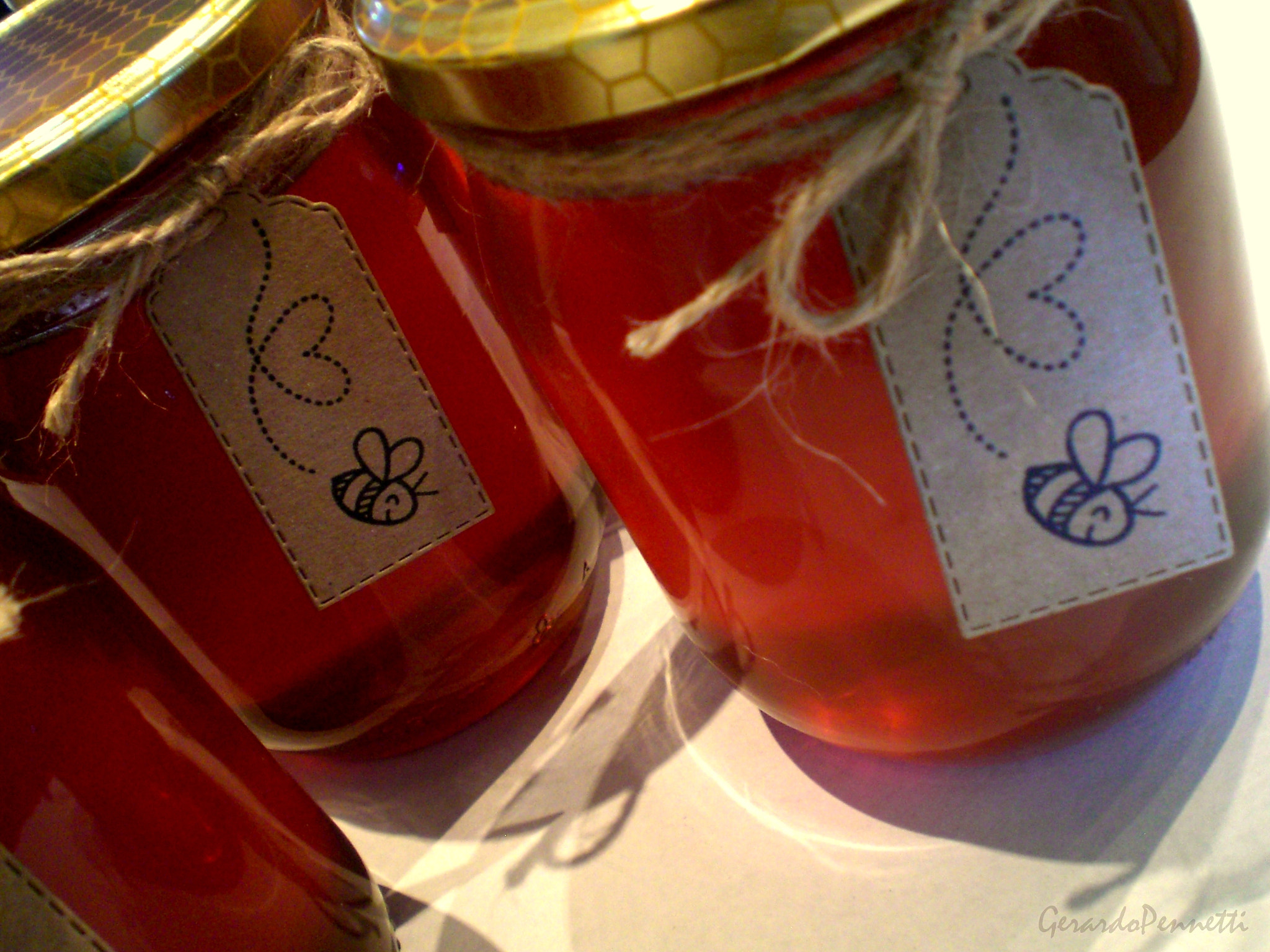 CASIO EX-Z5 sample photo. My multi-floral honey photography