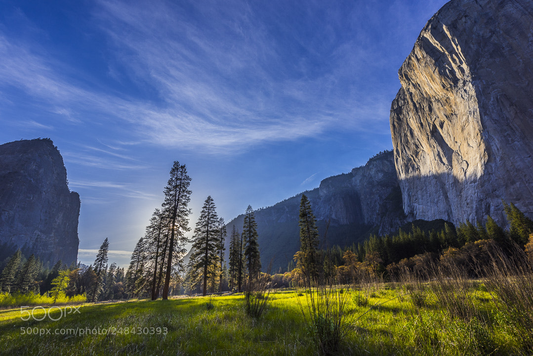 Nikon D810 sample photo. Yosemite national park photography