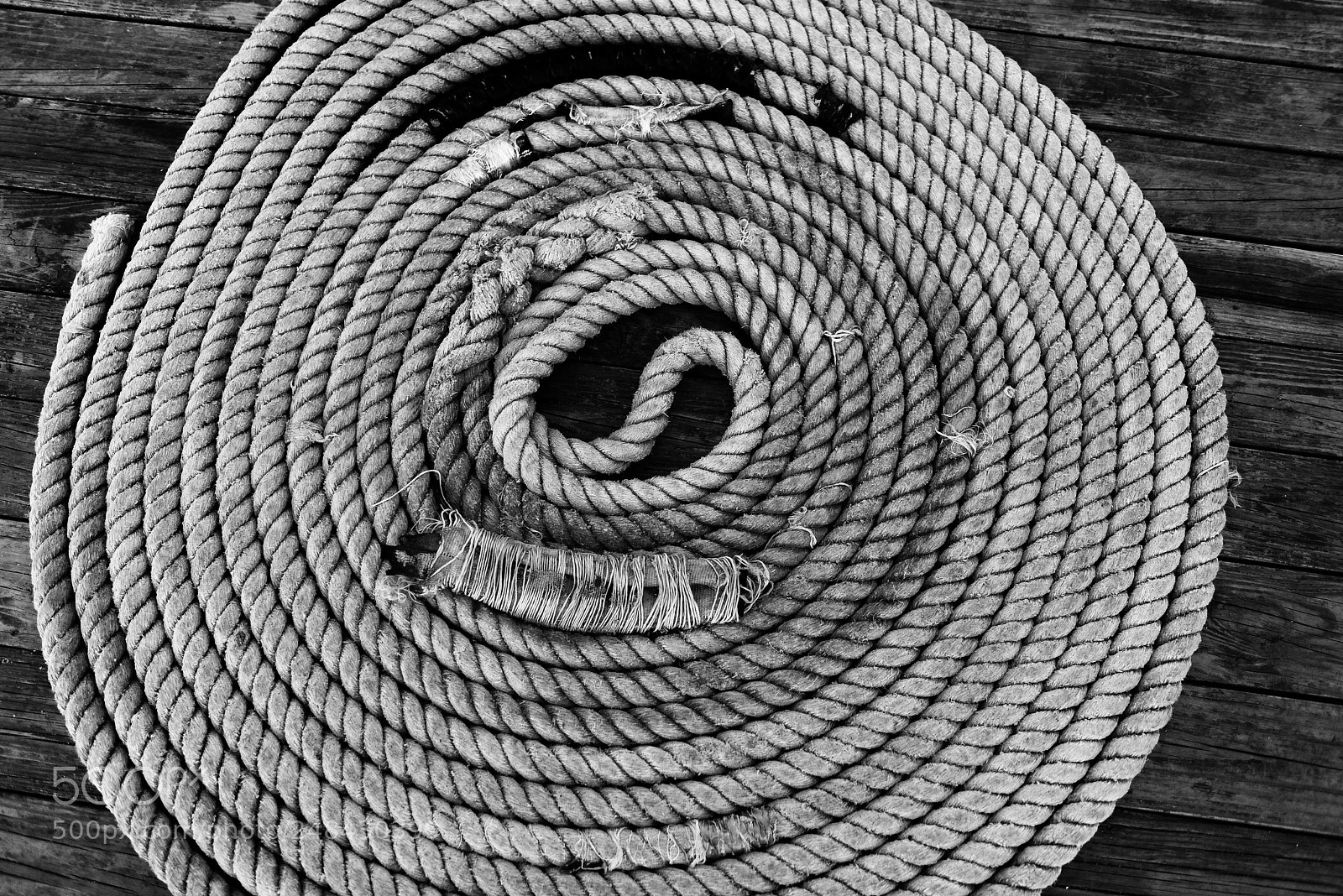 Nikon D800 sample photo. Rope pier photography