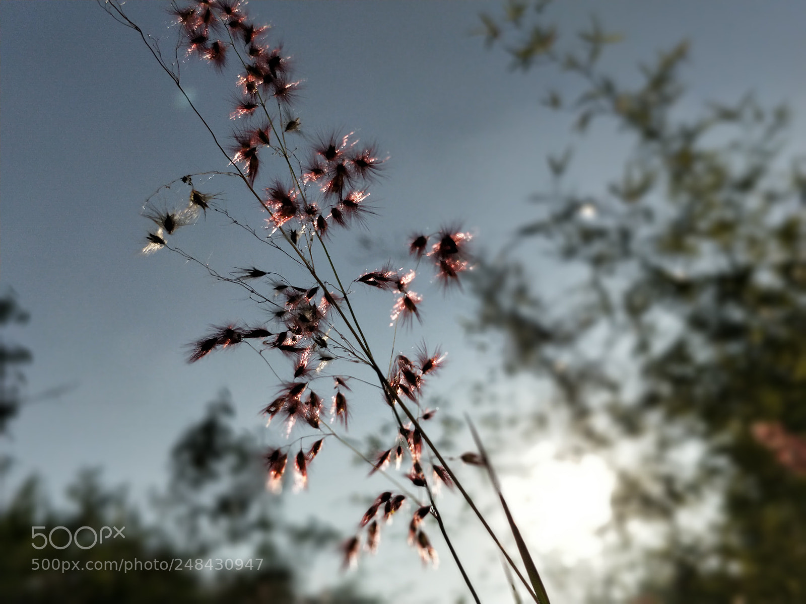 OnePlus 5 sample photo. Untitled photography