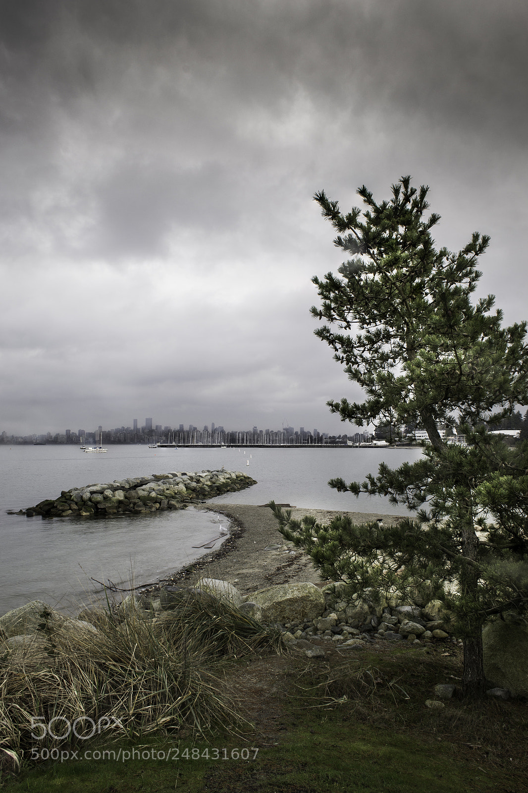 Nikon D3100 sample photo. Jericho photography
