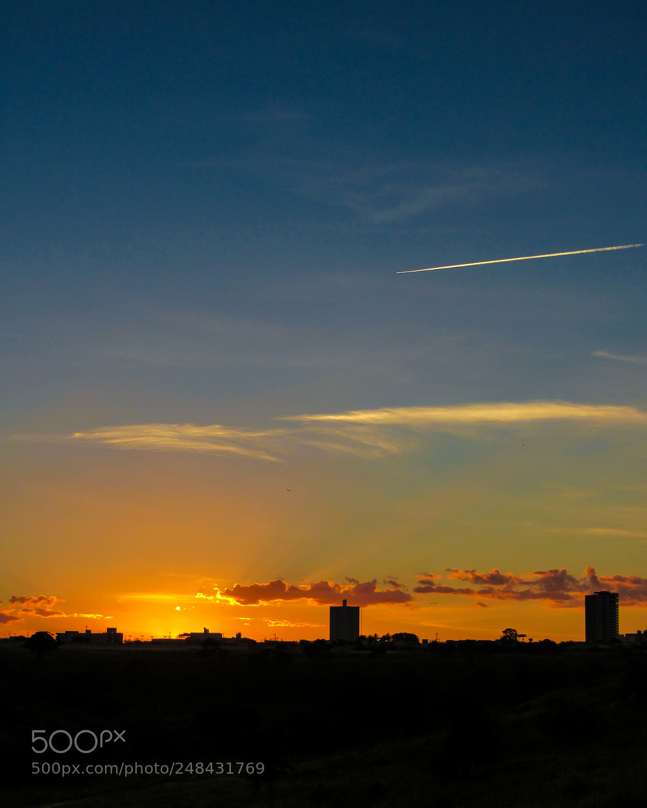 Canon PowerShot SX530 HS sample photo. Golden hour of the photography