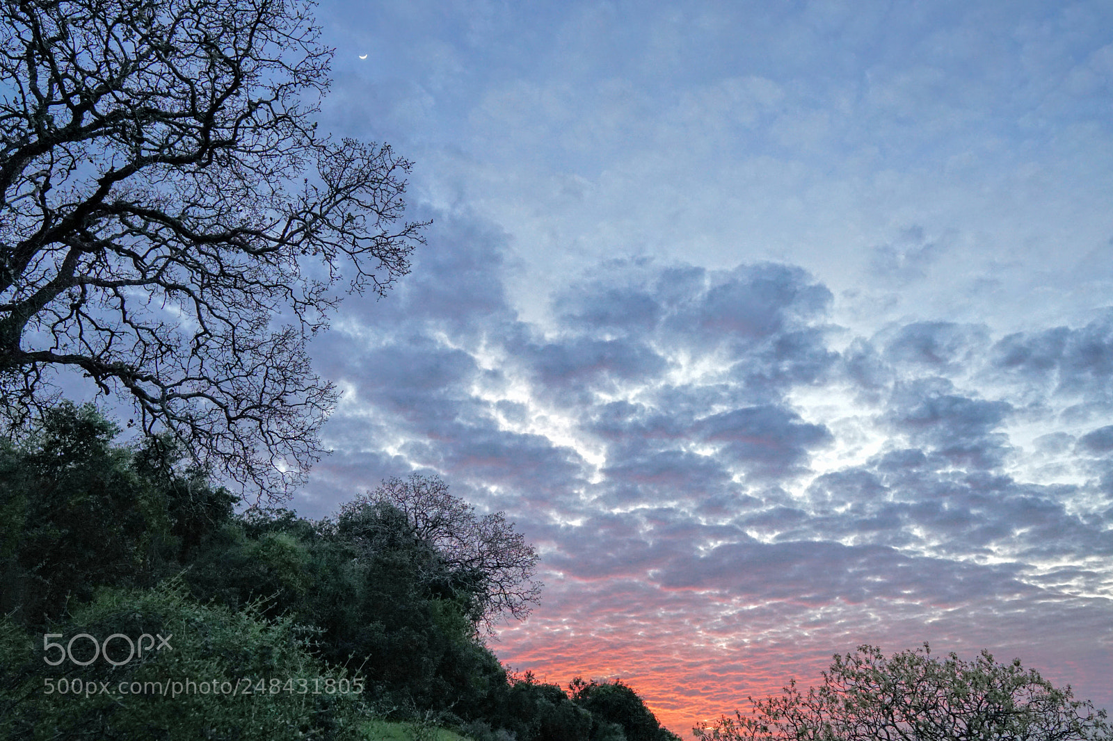 Sony a6000 sample photo. Scenic sunset photography